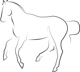 dressage horse illustration vector art