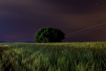 Paisaje Artificial © oscarantolin
