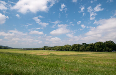 Blonia Park Krakow meadow panorama in Kraków, with Jordan Park (Park Henryka Jordana) in...