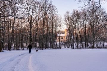 A woman walks with a dog in a snowy park near the palace.
