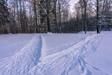 Fototapeta premium Tracks with snow in the park. Feet in snow.