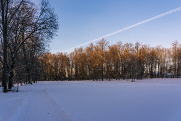 The plane's white stripe in the sky and the park landscape in the winter.