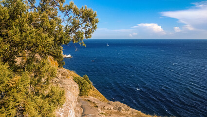 Fototapeta premium View from the rocky shore with junipers to the sea.