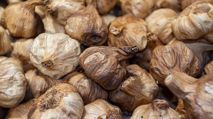 Black garlic head, haute cuisine ingredient