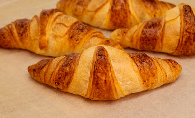 Croissants fresh from the oven on a parchment covered oven grill tray