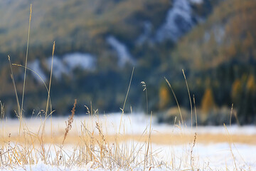 Autumn forest frost snow Altai landscape beautiful nature