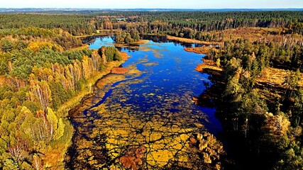 View from the drone on Lake Komosa on a sunny day among the forests of Podlasie.
