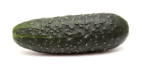 short dark green small cucumbers isolated on white background 