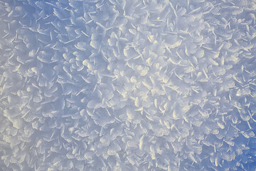 abstract winter background hoarfrost frost ice snow seasonal