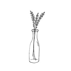 Cute doodle blade of grass in a bottle. Plant branch. Vector hand drawn illustration. Black and white outline. Coloring. Black and white sketch. Silhouette. Circuit.