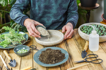 Gartenarbeit, Zimmerpflanzen einpflanzen, umtopfen, vermehren, City Jungle, Einrichtungstrend