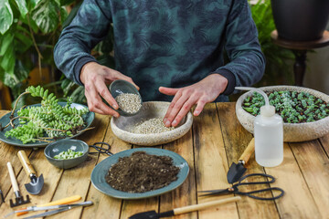 Gartenarbeit, Zimmerpflanzen einpflanzen, umtopfen, vermehren, City Jungle, Einrichtungstrend