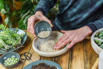 Gartenarbeit, Zimmerpflanzen einpflanzen, umtopfen, vermehren, City Jungle, Einrichtungstrend