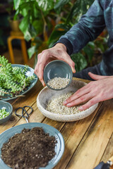 Blumentopf mit Steinen befüllen, Drainageschicht, gärtnern Zuhause