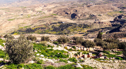 Fototapeta na wymiar Mount Nebo in Jordan