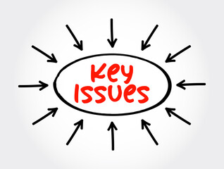 Key Issues text with arrows, concept for presentations and reports