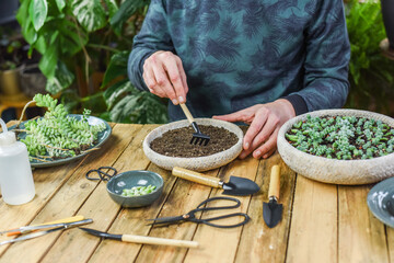 Blumentopf mit Erde befüllen, gärtnern Zuhause, Erde mit einer Schaufel in einen Topf füllen
