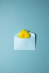 yellow orchid emerging from a white envelope on a plain blue background