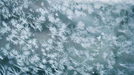 snow crystal in winter