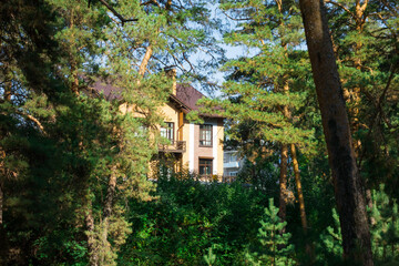 House in a pine forest