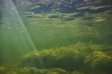 underwater fresh water green background with sun rays under, water