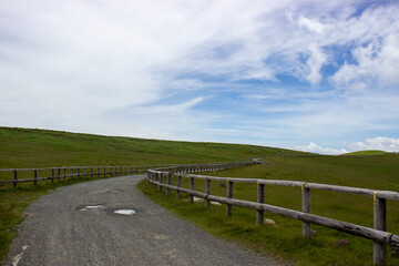 Fototapeta na wymiar 高原の牧場の道