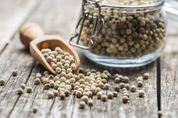 Whole pepper spice. White peppercorn grain in wooden scoop