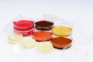 Placas de Petri con distintos medios de cultivo de microbiología