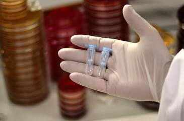 Mano de médico o investigador con guante blanco sujetando tubos para investigación
