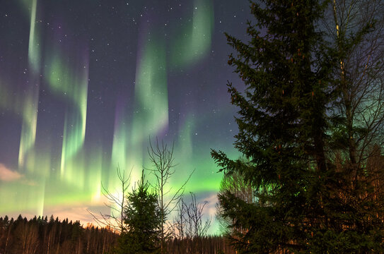 Aurora borealis in southern Finland January 2022. 