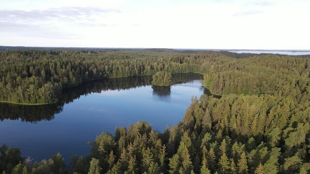Aerial view of beautiful blue lake and green summer forest in Finland. Top view. Morning landscape.