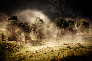 Fototapeta na wymiar rural early morning landscape with fog in the mountains