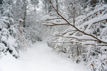 Wanderpfad im Winter am Ochsenkopf, Fichtelgebirge, Oberfranken