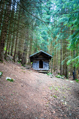 Small wooden cabin in a dark fir forest