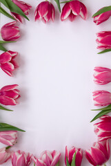 Fototapeta na wymiar Pink tulips on a white background