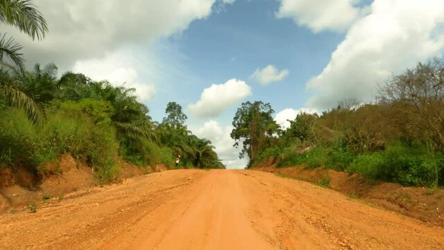 Tropical forest jungle road farmers rural Ghana. Rural forest and mountain valley tropical jungle environment. Dirt roads and trails used for transportation. Landscape green trees tropic habitat.