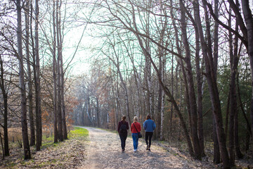 Fototapeta premium walk in the forest