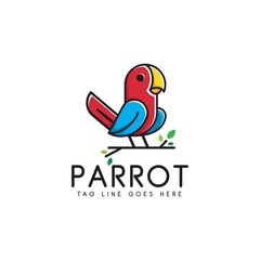 parrot logo design in style line and outline, colorful bird logo, icon, vector, template, modern