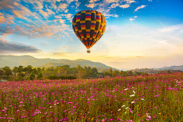 Color balloon over Beautiful Cosmos Flower in park