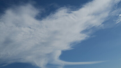 Big white cloud with a shape like a bird in the blue sky