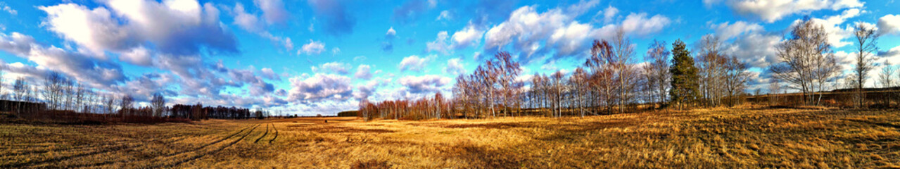 Fototapeta premium Panorama.View of the frozen Narew River and its surroundings.