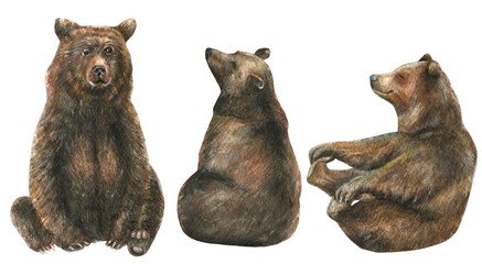 Watercolor set of three cute brown bears on a white background.