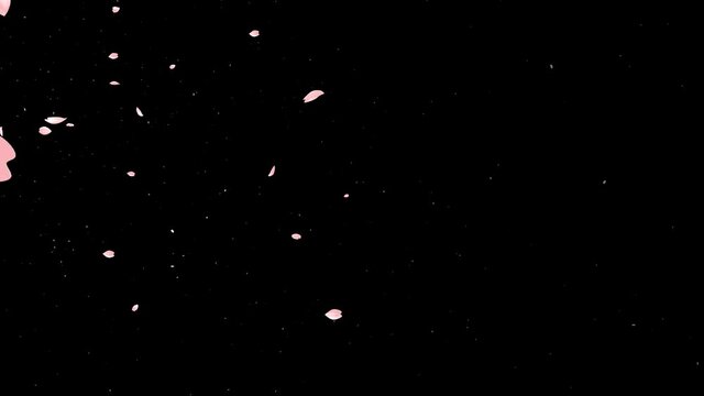 いろんな動きをする桜のような花びら　トランジション　舞う　舞い散る