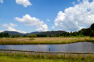 A pond in the countryside