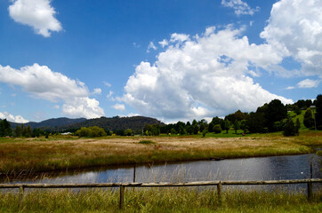 A pond in the countryside