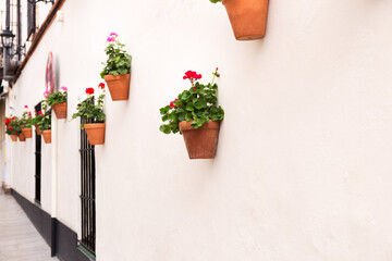 Fototapeta na wymiar Red flower pots with geranium on white facade