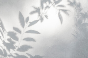 Shadow and sunshine of leaves reflection. Jungle gray darkness shade and lighting on concrete wall, shadows overlay effect, mockup and design