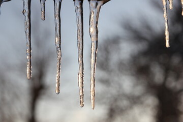 transparent icicles let light through