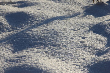 Fototapeta na wymiar the texture of the packed snow in the light of the sun