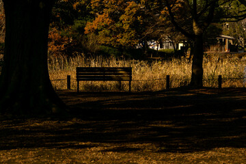 夕陽のベンチ
